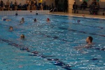 DSC02047.jpg