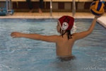DSC01930.jpg