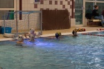 DSC01945.jpg