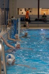 DSC01974.jpg
