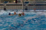 DSC01986.jpg