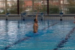 DSC02014.jpg
